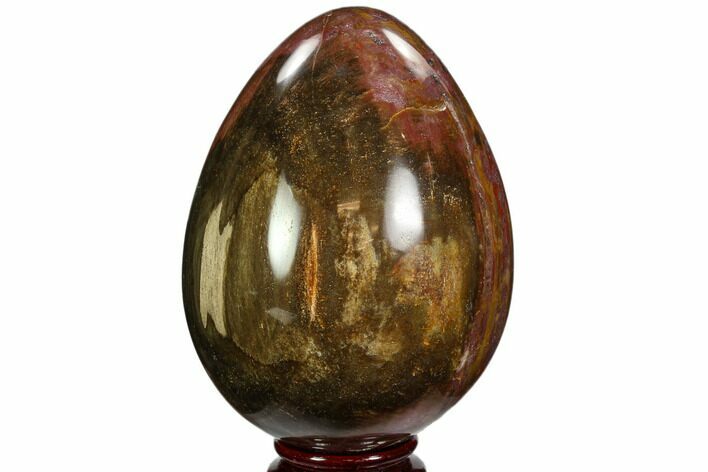 Colorful, Polished Petrified Wood Egg - Triassic #107400
